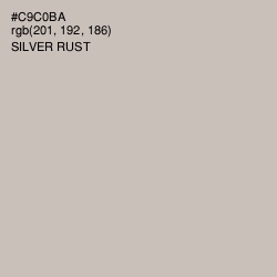 #C9C0BA - Silver Rust Color Image